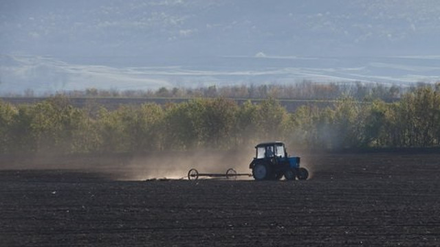 Agricultorii din R. Moldova vor beneficia de acces mai rapid la material semincer performant

