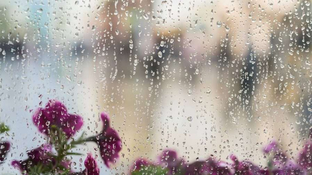 METEO | Ploi slabe de scurtă durată, prognozate pentru vineri. Câte grade se vor înregistra 