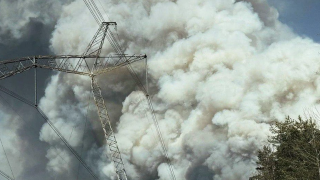 VIDEO | Incendiu major în zona de excludere de la Cernobîl. Ard peste 1000 de hectare de pădure, focul se extinde rapid
