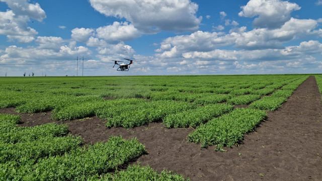 Tehnologia revoluționează agricultura: dronele devin instrumente esențiale în cercetarea agricolă