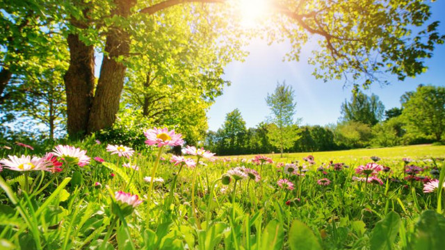 METEO | Cer variabil și maxime de până la 26 grade Celsius, prognozate pentru duminică
