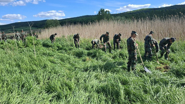 Militarii Armatei Naționale au intervenit în localitățile afectate de ploile abundente
