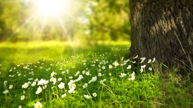 METEO | Cer senin și temperaturi de până la 30 grade, prognozate de meteorologi pentru miercuri
