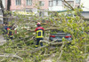 Zeci de intervenții ale salvatorilor IGSU după ploile și rafalele de vânt de marți: arbori căzuți peste mașini și o ambulanță blocată în noroi

