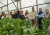 FAO lansează la Hîncești școli de câmp pentru fermieri: legume rezistente la climă și acces pe piață


