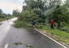 VIDEO | Un drum din Strășeni rămâne blocat; echipele de drumari continuă intervențiile

