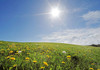 METEO | Cer variabil și maxime de până la 29 grade Celsius, prognozate pentru marți 