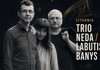„Jazz’n Chișinău International Festival 2026” | Artiști din Litunia și Polonia urcă pe scenă în prima zi a festivalului 
 