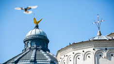 Sfântul Sinod al Bisericii Ortodoxe Române a aprobat retragerea mitropolitului Petru Păduraru din slujirea de Mitropolit al Basarabiei 