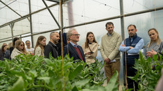 FAO lansează la Hîncești școli de câmp pentru fermieri: legume rezistente la climă și acces pe piață

