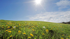 METEO | Cer variabil și maxime de până la 29 grade Celsius, prognozate pentru marți 