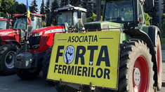Fermierii din Fălești ies la protest cu tehnica și utilajele agricole
