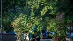 Peste 400 de muncitori, mobilizați pentru salubrizarea străzilor din Chișinău
