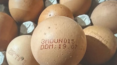 ANSA retrage de pe piață un lot de ouă după depistarea bacteriei Salmonella (FOTO)