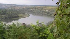 Speciile invazive se răspândesc în râul Prut, iar peștii rari sunt din ce în ce mai puțini
