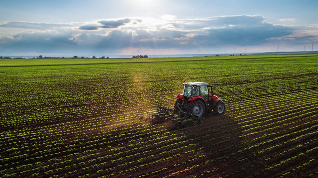 Reforma fiscală propusă pentru 2027 poate afecta agricultura în lipsa unor măsuri de protecție, expert
