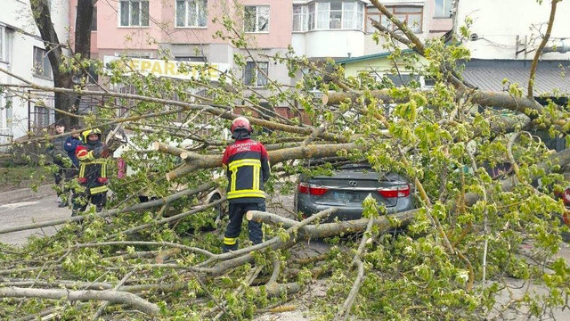 Zeci de intervenții ale salvatorilor IGSU după ploile și rafalele de vânt de marți: arbori căzuți peste mașini și o ambulanță blocată în noroi


