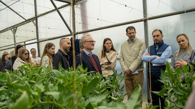 FAO lansează la Hîncești școli de câmp pentru fermieri: legume rezistente la climă și acces pe piață

