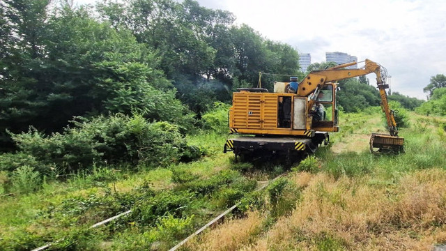 Siguranța traficului feroviar: CFM curăță vegetația de pe rețeaua națională
