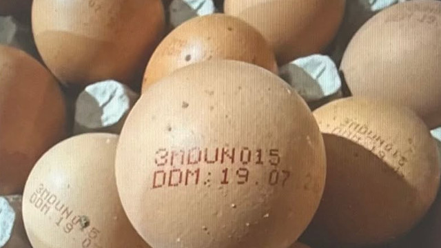 ANSA retrage de pe piață un lot de ouă după depistarea bacteriei Salmonella (FOTO)