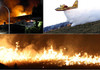 Incendiile de vegetație afectează sudul Italiei. În Sardinia e instituită stare de urgență
