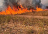 Cod galben de pericol de incendii de vegetație în mai multe regiuni ale R. Moldova

