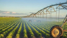 Un nou sistem de irigare va fi construit în raionul Șoldănești cu sprijinul IFAD


