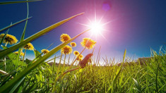 METEO | Vreme caldă și temperaturi care vor urca până la 30 de grade Celsius, prognozate pentru sâmbătă
