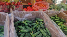 Târguri cu produse locale în toate sectoarele Chișinăului, în acest weekend
