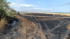 Incendiu de proporții la Ștefan Vodă: șapte hectare de grâu au ars, iar alte 39 au fost salvate de pompieri 