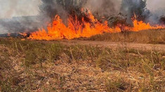 Cod galben de pericol de incendii de vegetație în mai multe regiuni ale R. Moldova

