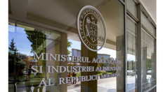 Tatiana Nistorică, eliberată din funcția de secretar de stat al Ministerului Agriculturii