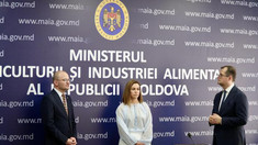 Noul Ministru al Agriculturii, Radu Musteața, prezentat echipei intituției. „Avem responsabilitatea de a implementa reformele necesare pentru apropierea de standardele UE”
