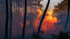 Incendii devastatoare în Franța și Spania: zeci de mii de oameni, evacuați

