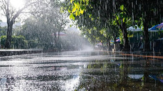 METEO. Ploi slabe pe alocuri și vânt intensificat. Cum va fi vremea pe 28 iulie