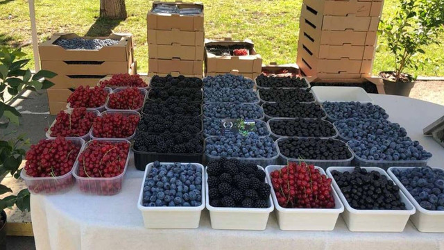 Târguri cu produse locale în toate sectoarele Chișinăului, în acest weekend

