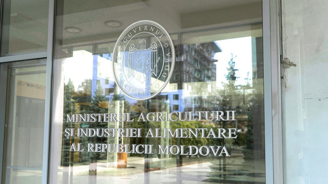 Procurorii cer 30 de zile de arest pentru secretara de stat de la Ministerul Agriculturii
