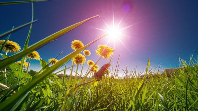 METEO | Vreme caldă și temperaturi care vor urca până la 30 de grade Celsius, prognozate pentru sâmbătă
