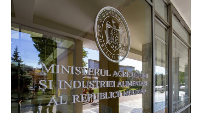 Tatiana Nistorică, eliberată din funcția de secretar de stat al Ministerului Agriculturii