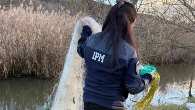 Braconaj, tăieri ilegale și amenzi: IPM a intensificat controalele în R. Moldova
