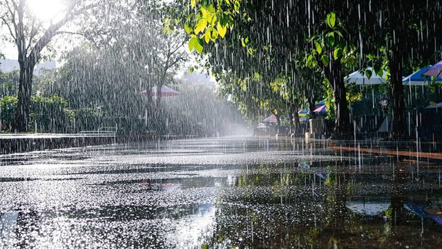 METEO. Meteorologii anunță ploi slabe și intensificări ale vântului pe 28 iulie